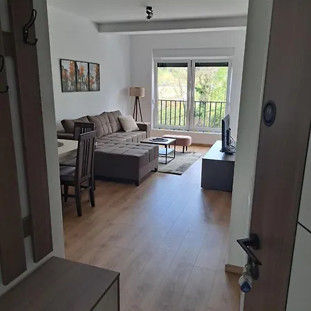 Miletic Apartment Vrnjacka Banja